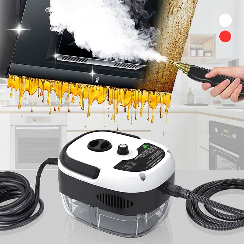 🔥🔥HEIßER SALE 50% RABATT🔥🔥2500W Tragbarer Hochtemperatur-Dampfreiniger mit Druckbeaufschlagung