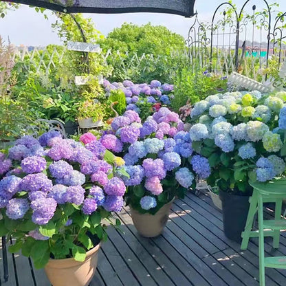 💐Künstliche Hortensienblüten für den Außenbereich💐