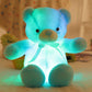 🎄❤️Weihnachtsangebot: 60% Rabatt 🧸Teddybär, buntes LED-Licht, Stofftiere