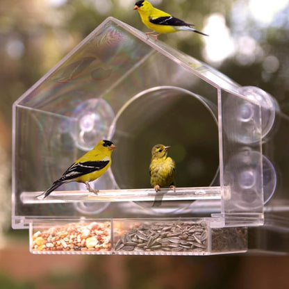 (🔥HOT SALE JETZT 49% AUSVERKAUFT) -🐦 Fenster-Vogelfutterhäuschen